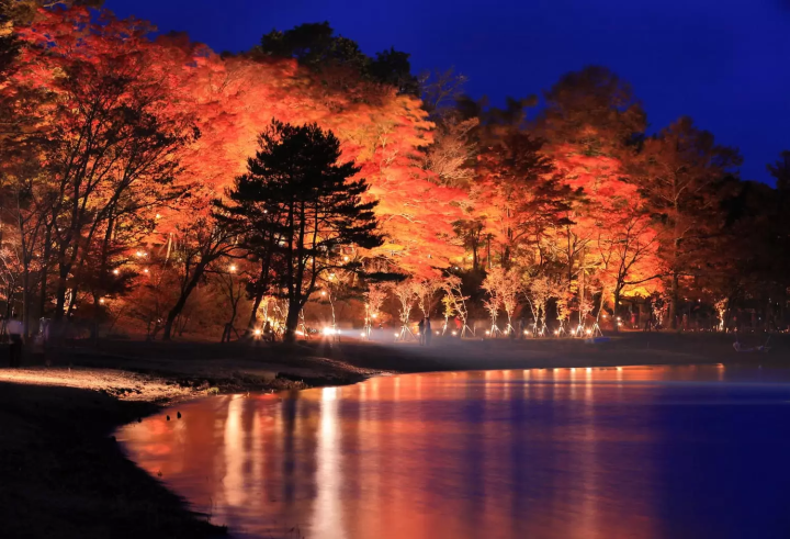 山中湖 夕焼けの渚 紅葉まつり