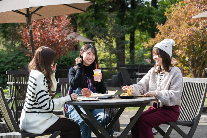 【大分县竹田市】九重花卉公园秋花祭举办中！ ！