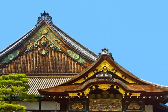 【世界遺產】深入淺出探索京都二條城的歷史脈絡！揭開外國遊客必訪的秘密！