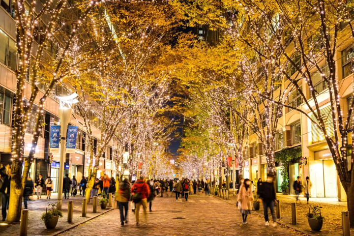 December in Japan: Weather, Events, Food and Travel Tips!