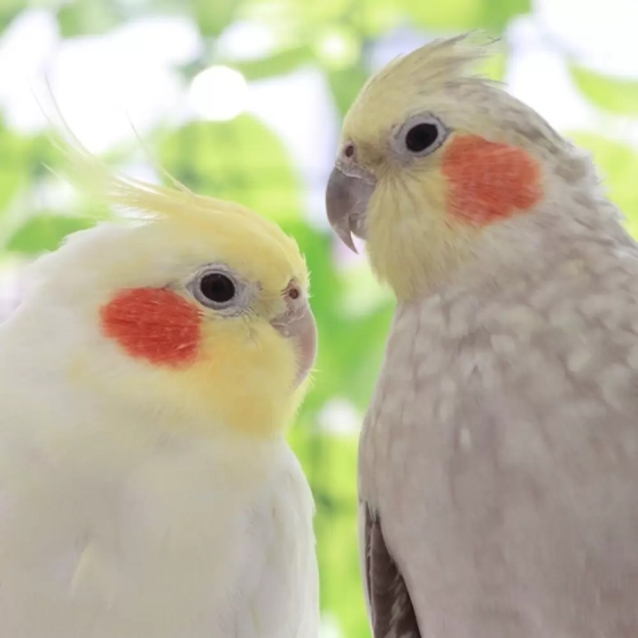 【上野美食】上野必去10大精選咖啡廳！介紹時尚且可以悠閒享用午餐的咖啡廳