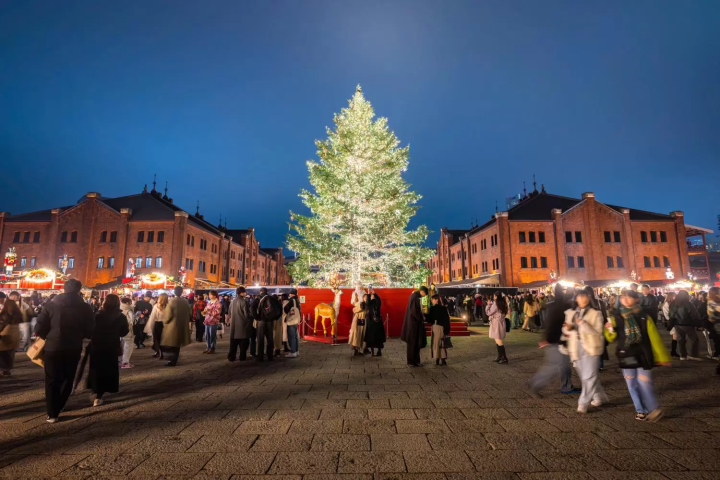 December in Japan: Weather, Events, Food and Travel Tips!