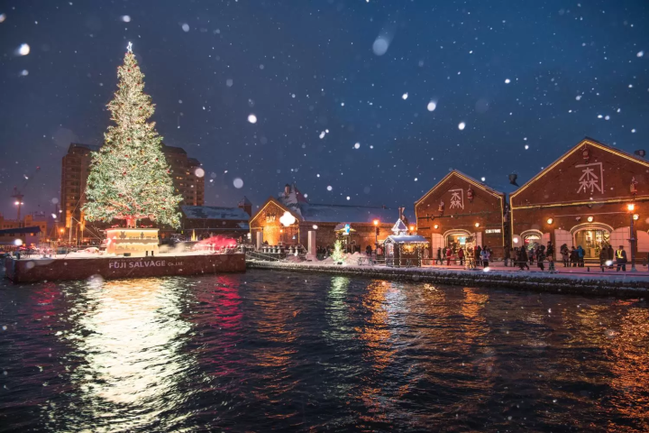 December in Japan: Weather, Events, Food and Travel Tips!