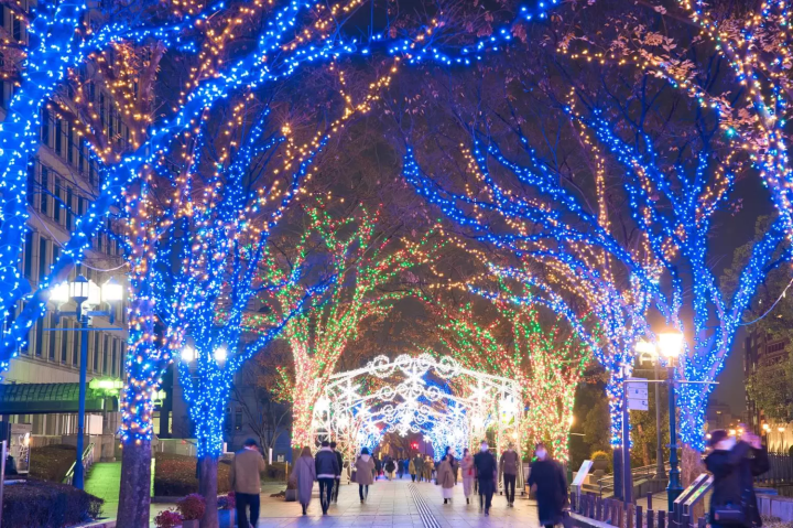 December in Japan: Weather, Events, Food and Travel Tips!