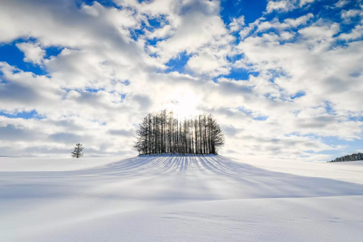 December in Japan: Weather, Events, Food and Travel Tips!