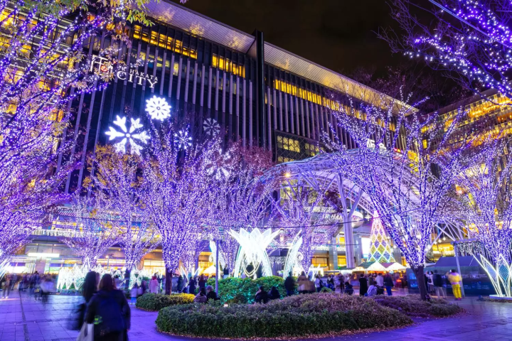 December in Japan: Weather, Events, Food and Travel Tips!