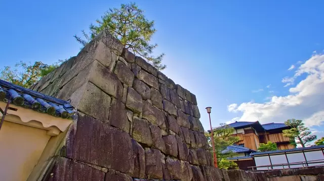 【世界遺產】深入淺出探索京都二條城的歷史脈絡！揭開外國遊客必訪的秘密！