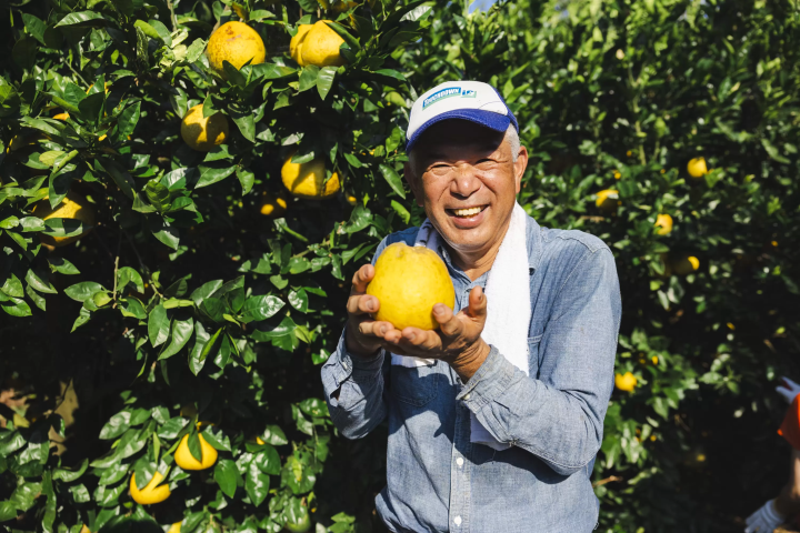【爱媛旅行】日本最长的半岛！佐田岬半岛旅游指南