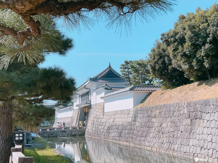 【世界遺產】深入淺出探索京都二條城的歷史脈絡！揭開外國遊客必訪的秘密！