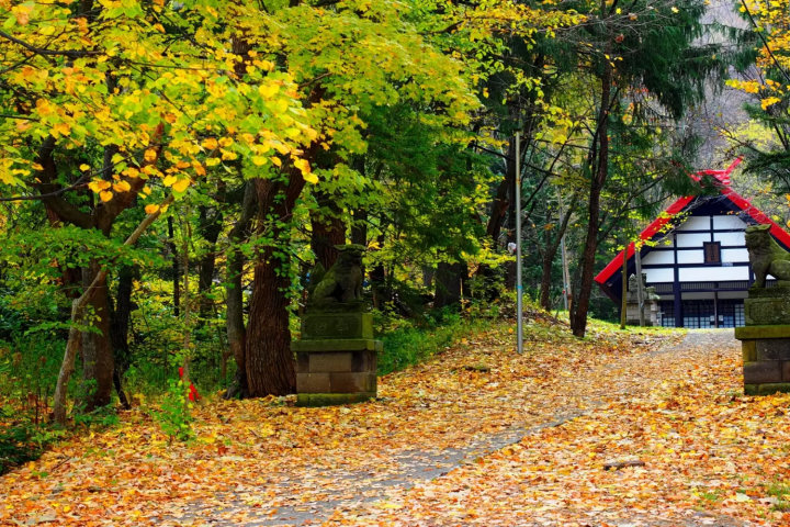 北海道屈指の温泉地、定山渓の紅葉スポット9選を紹介！