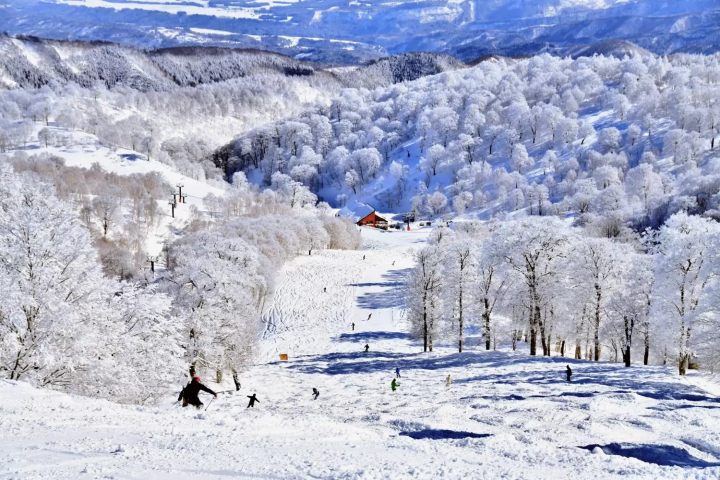 December in Japan: Weather, Events, Food and Travel Tips!