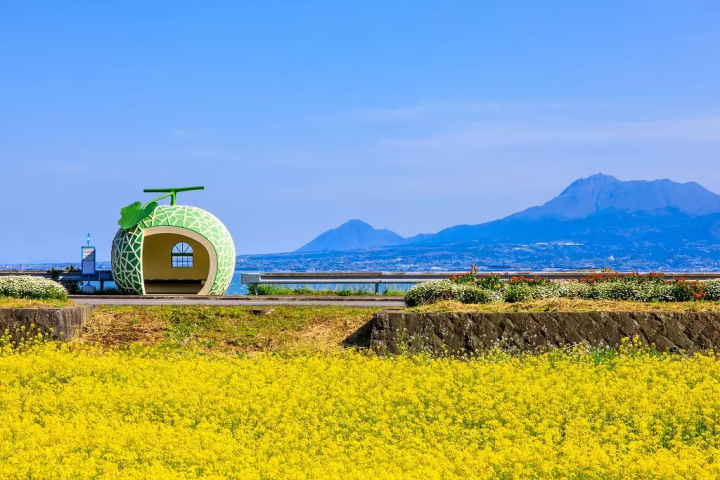 Nagasaki Fruit Bus Stops