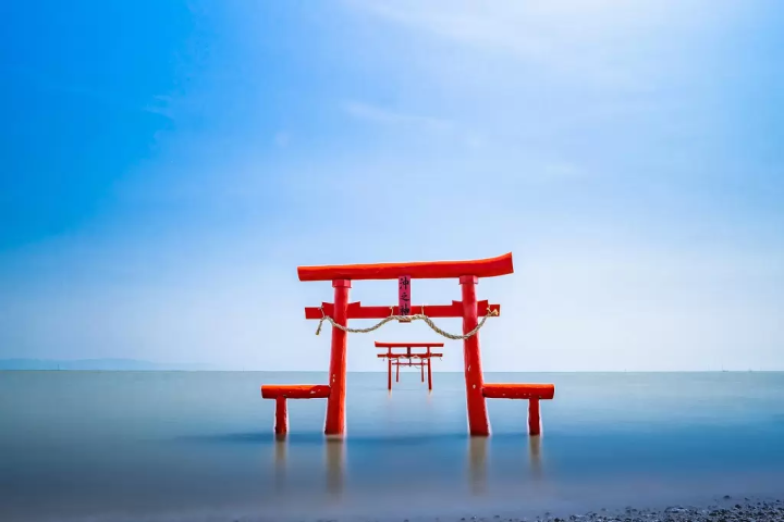 Nagasaki Fruit Bus Stops