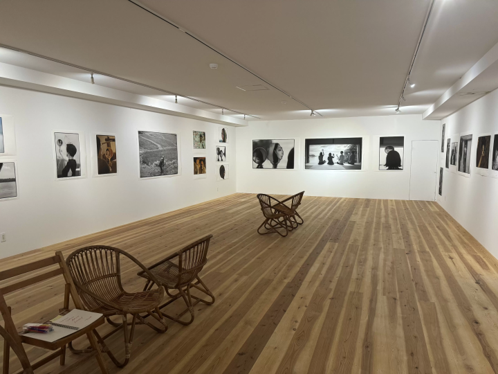 Discover the Magic of Sado Island’s Galaxy Art Festival - A Journey Through Art, Nature, and Culture -