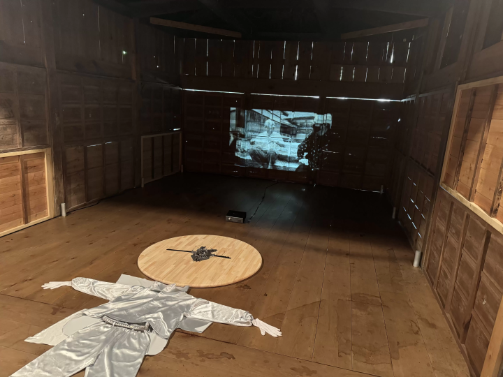 Discover the Magic of Sado Island’s Galaxy Art Festival - A Journey Through Art, Nature, and Culture -