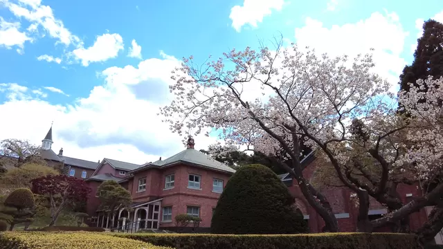 【2024】函館機場購物、交通、觀光一次看!