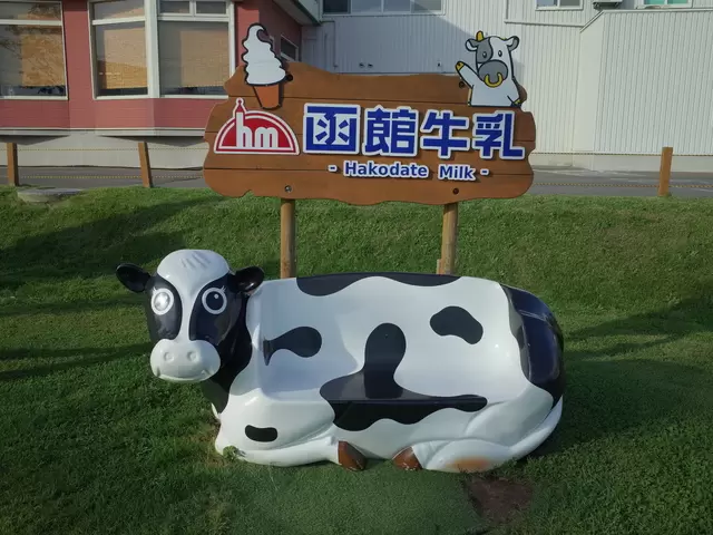 【2024】函館機場購物、交通、觀光一次看!