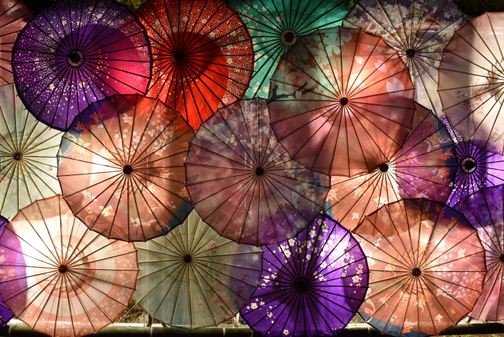 [2024 Autumn] Discover Nagatoro’s Autumn Charm: A Quick and Easy Tour of Top Scenic Spots