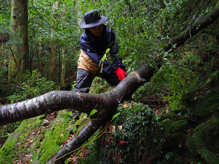 【我们一起去日本国家公园吧！】为了享受第一次日本国立公园旅行，做哪些准备？
