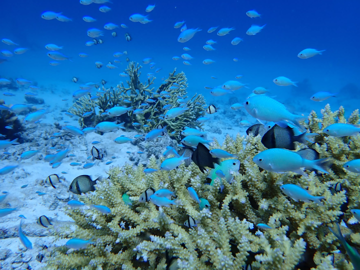 【我们一起去日本国家公园吧！】为了享受第一次日本国立公园旅行，做哪些准备？