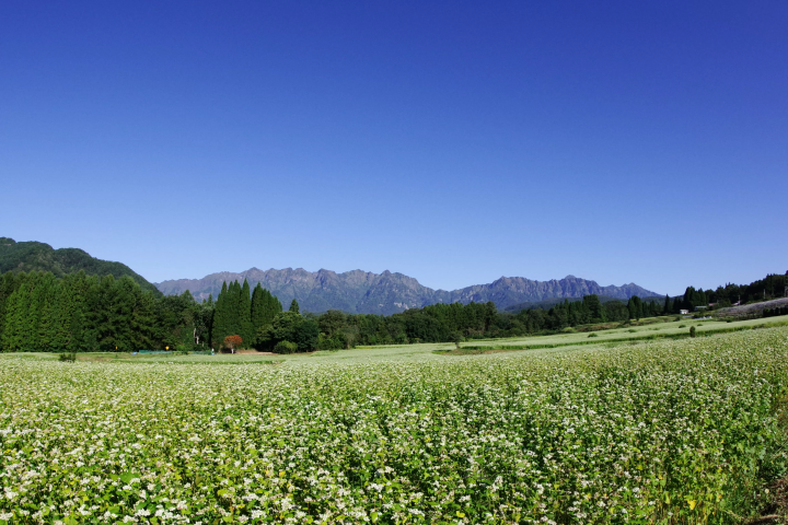 【我们一起去日本国家公园吧！】为了享受第一次日本国立公园旅行，做哪些准备？