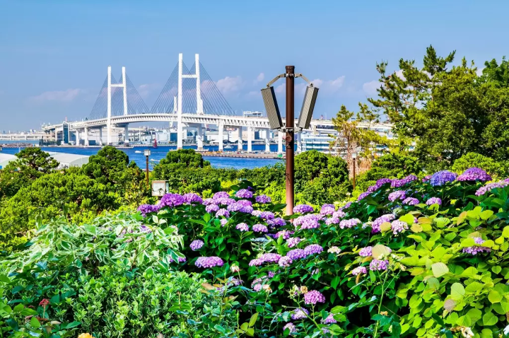 Visit The Area That Inspired Studio Ghibli's 