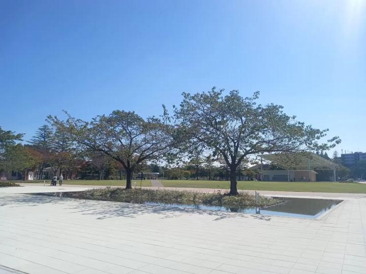 당일치기 투어에도 추천 「개성산 에리어」