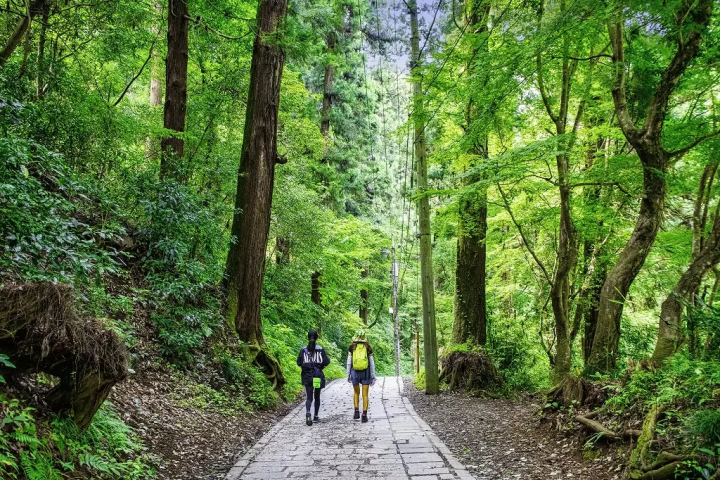 Tasty Fuel For Your Mount Takao Hike: Takahashiya Tororo Soba