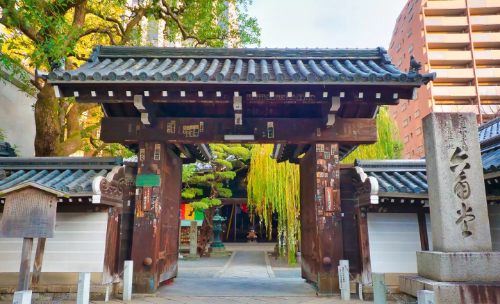 The Origins of Ikebana Floral Art: History and Major Schools