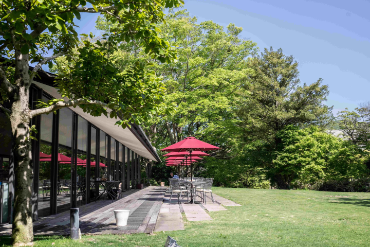 예술과 건축에 잠기는 행복의 카페 타임: 도쿄, 교토, 하코네의 미술관 병설 카페 3선