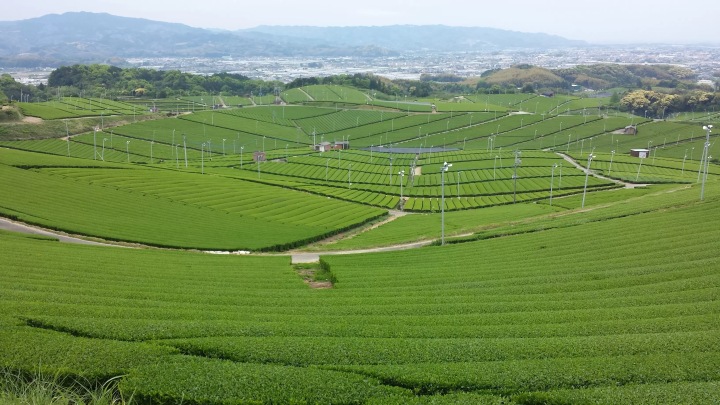 [福冈/八女]第一次来八女！与当地导游一起前往八女推荐景点的短途旅行