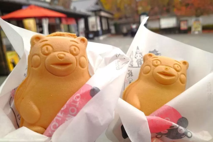 市電で行く!熊本市内観光モデルコース