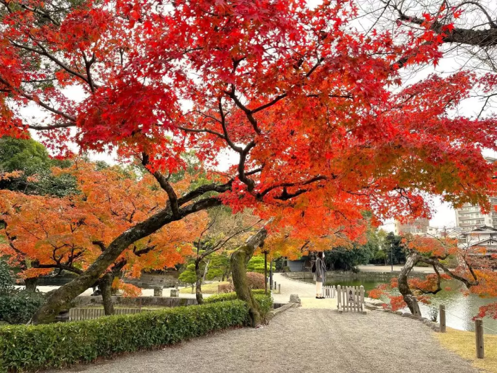 市電で行く!熊本市内観光モデルコース