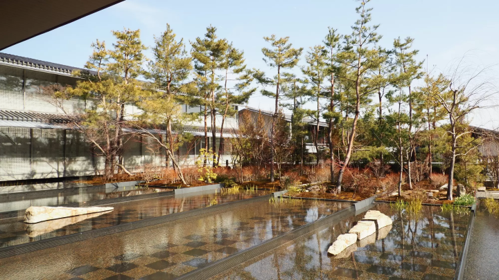 Arashiyama, Kyoto - Top Things To Do, Travel Tips, And Transportation