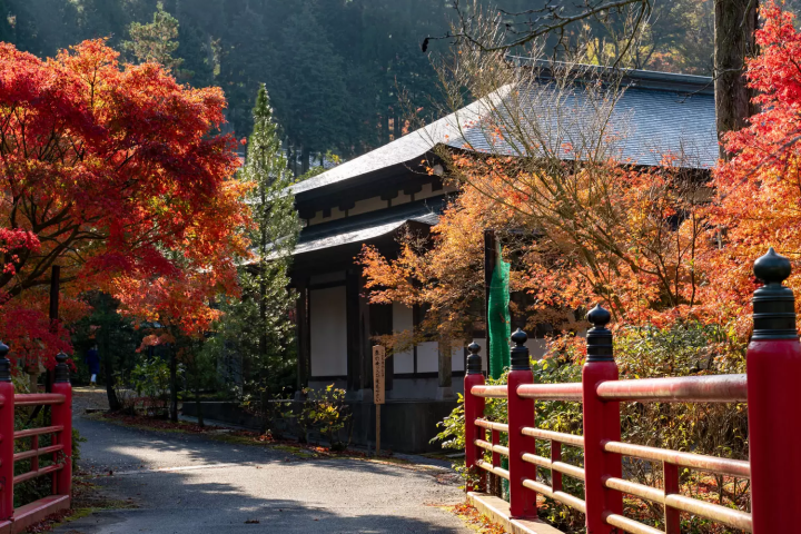呑山観音寺　紅葉