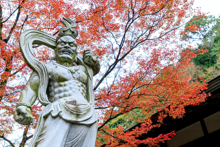 呑山観音寺　紅葉