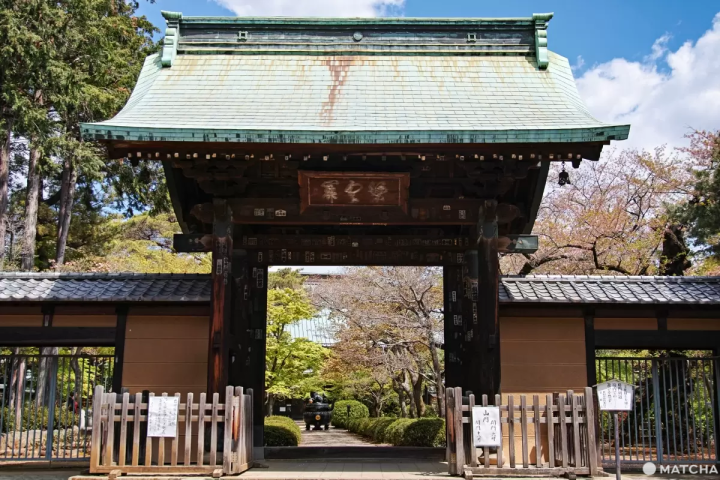 愛貓迷看過來！來世田谷「豪德寺」讓滿滿的招財貓軍團為你招來好運