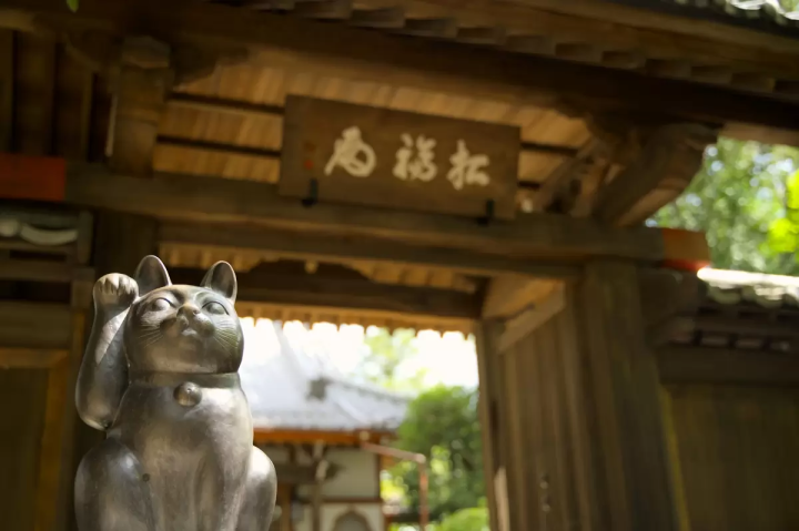 愛貓迷看過來！來世田谷「豪德寺」讓滿滿的招財貓軍團為你招來好運