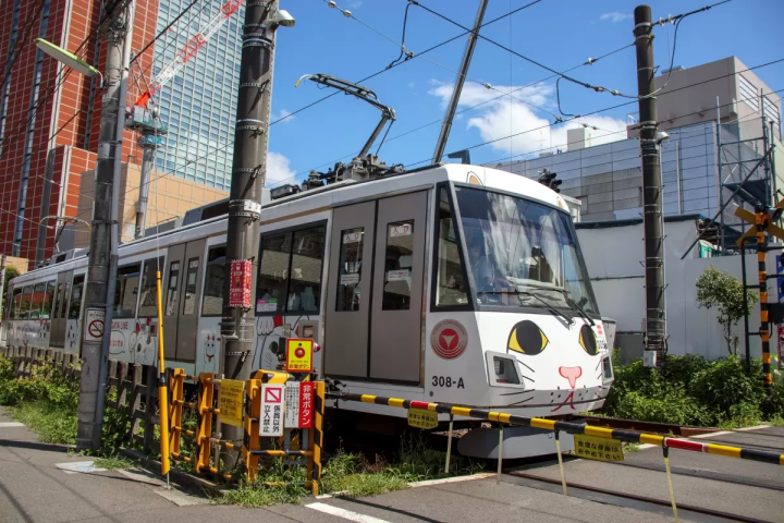 愛貓迷看過來！來世田谷「豪德寺」讓滿滿的招財貓軍團為你招來好運