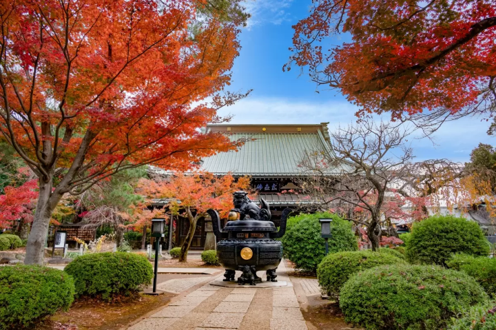 愛貓迷看過來！來世田谷「豪德寺」讓滿滿的招財貓軍團為你招來好運