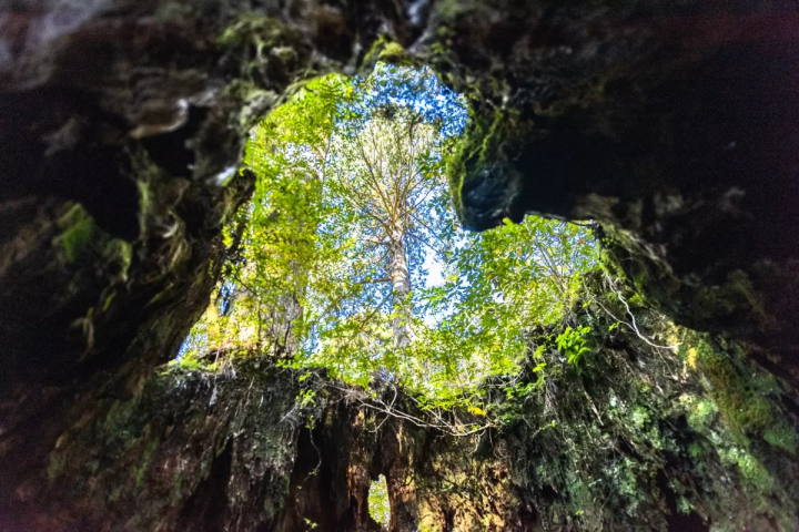 九州景點總懶人包,九州溫泉、美食都在這