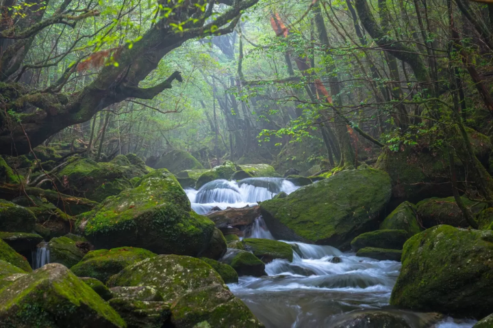 九州景點總懶人包,九州溫泉、美食都在這