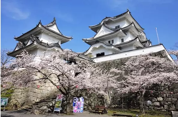 介紹在大阪1 小時 45 分鐘的「伊賀忍者鎮」享受忍者體驗、和牛和清酒