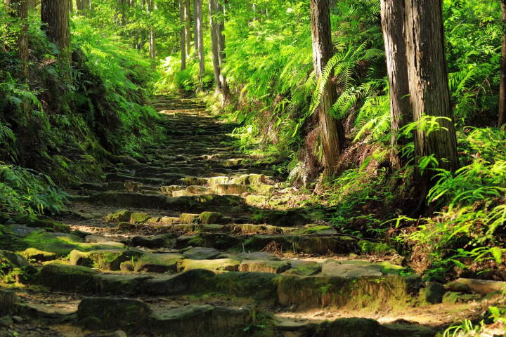 【日本小百科】關西地方