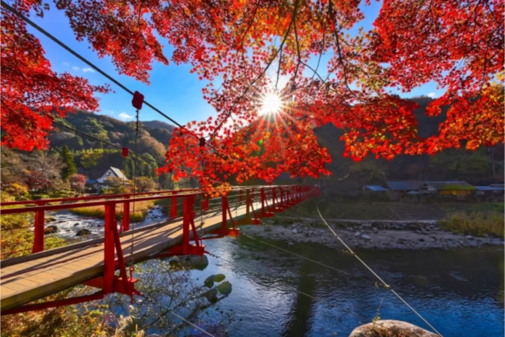 香嵐渓の紅葉に関する画像