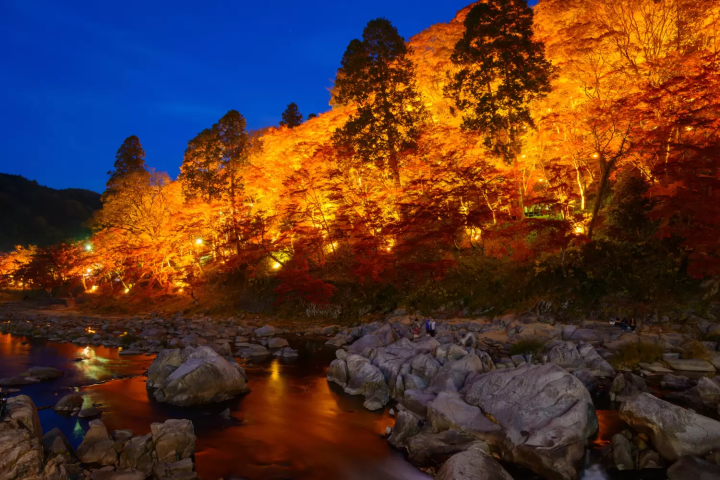香嵐渓の紅葉に関する画像