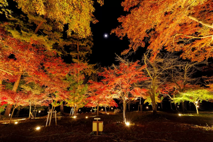 Nagatoro Autumn Festival