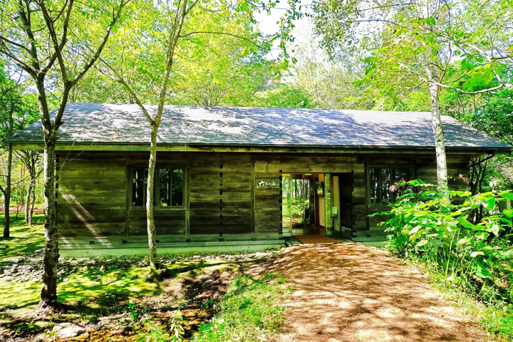 Rokkatei Confectionery and Stores: Popular Sweet Treats from Hokkaido