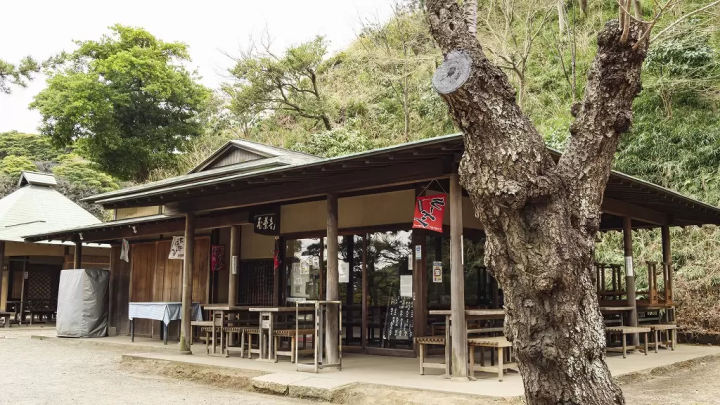 Enjoy Matcha Tea in the Heart of Sankeien Garden, Yokohama