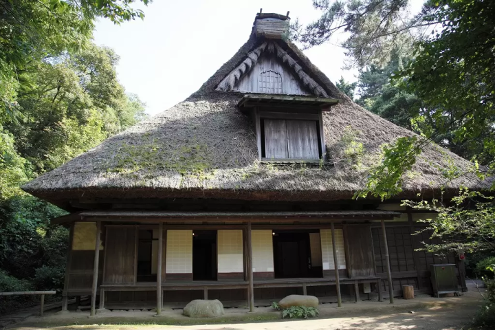 Enjoy Matcha Tea in the Heart of Sankeien Garden, Yokohama